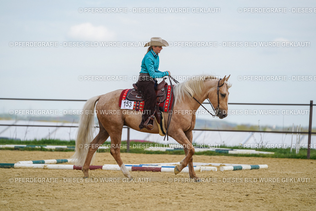 DSC05370 | Pferdegrafie