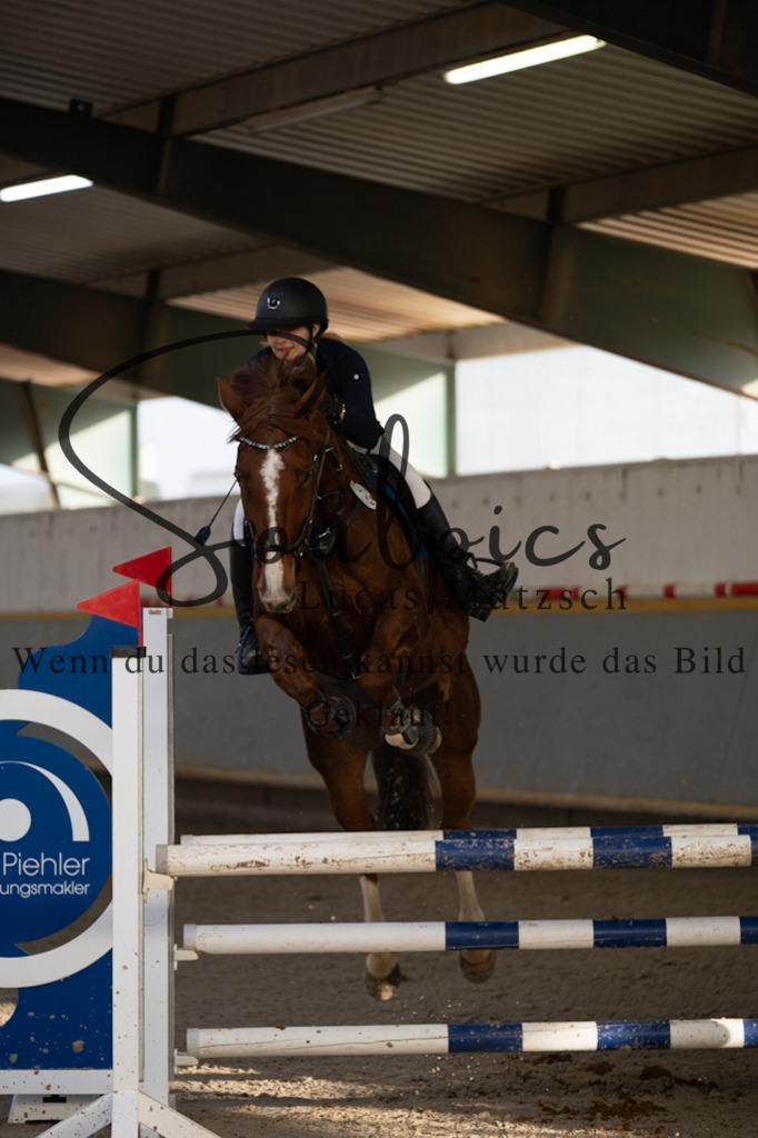 A7V07531 | Pferdefotograf