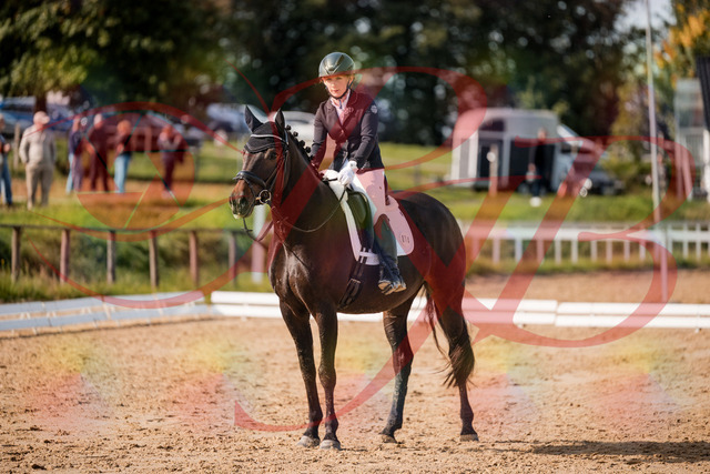 2026_10_03_Siefer-Hof_121806_Z63_41886444 | Professionelle Reitsport-, Turnier- und Eventfotografie von Robert Broda. Galerien mit ausgewählten und bearbeiteten Bildern direkt online ansehen und bestellen.