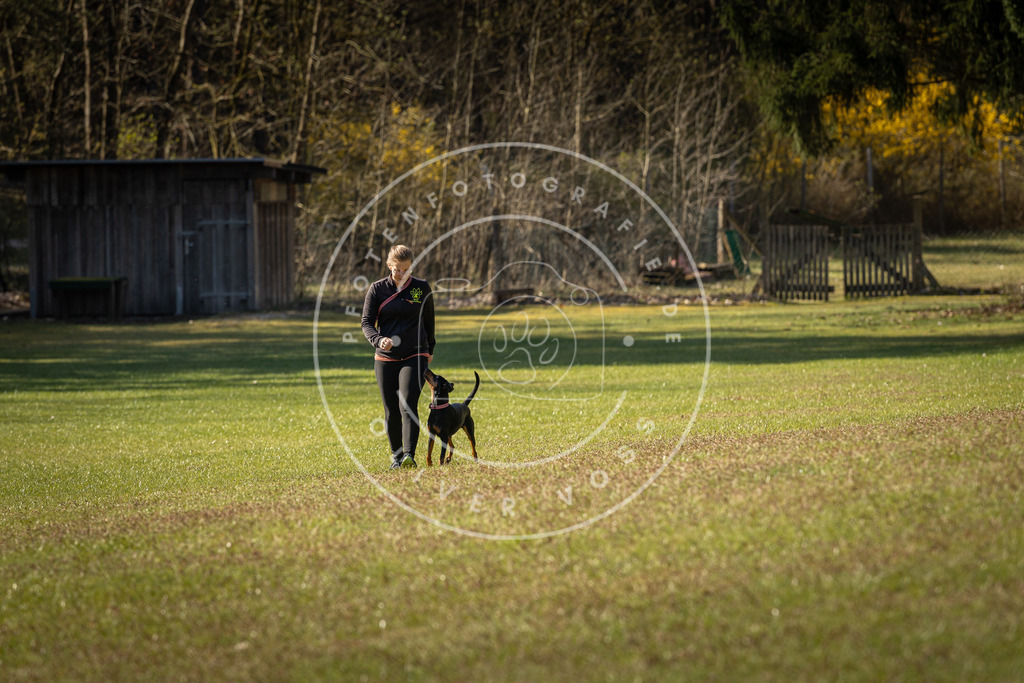 Pfotenfotografie_DV3A0275 | Hundefotografie, Tierfotograf, Pfotenfotografie, Fotoshooting Hund, Hunde Portrait, Hundesport, Hundeportraits, Heideshooting, Hunde, Sportfotograf, Hundefotograf, Turnierhundsport, THS,  - Realisiert mit Pictrs.com