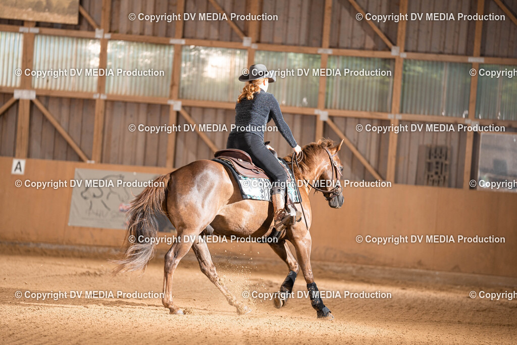 Losheim Tag 1-751 | dv-media-shop - Realisiert mit Pictrs.com