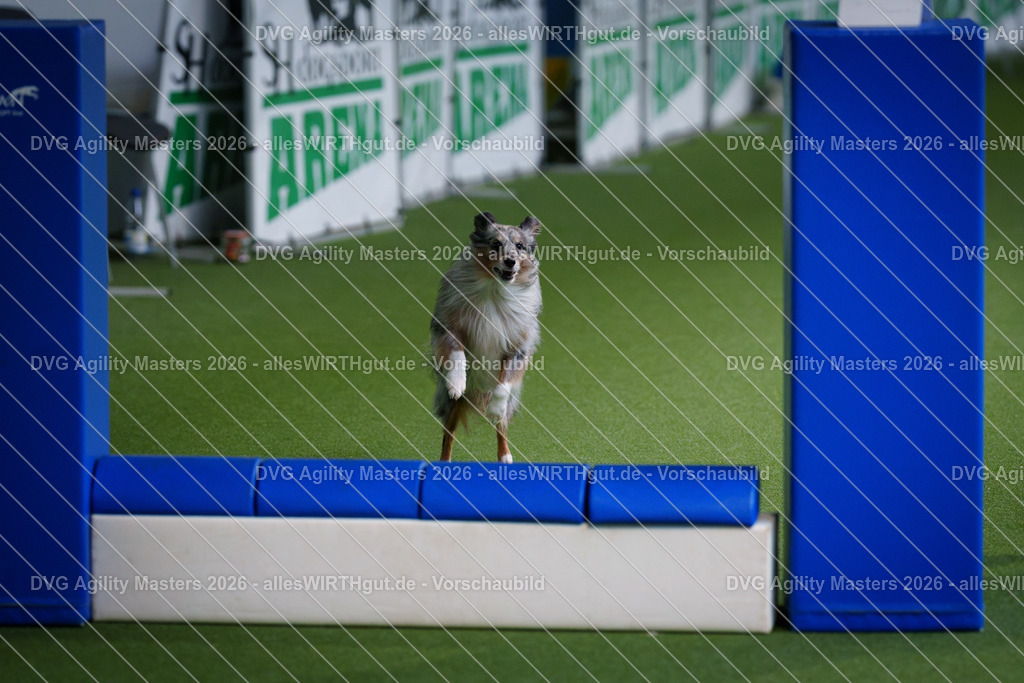 allesWIRTHgut_Tierfotografie-DVG_Agility_Masters_2026-12_09-7R507432 | Professionelle Tierfotografie in Mönchengladbach von Daniel Wirth (allesWIRTHgut). Liebevolle & natürliche Bilder von Hunden & Katzen für unvergessliche Erinnerungen.