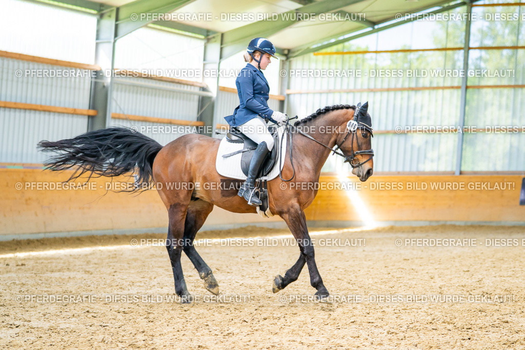 DSC08263 | Pferdegrafie