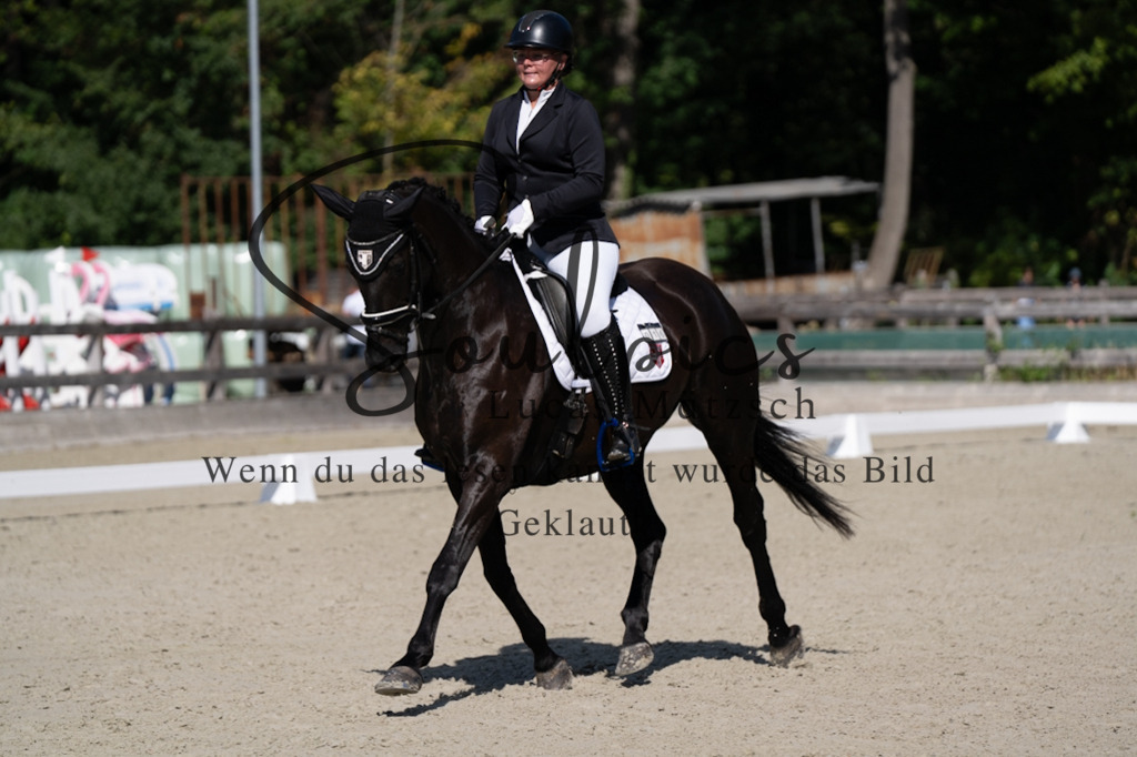 A7V07084 | Turnier/Reitfotograf
