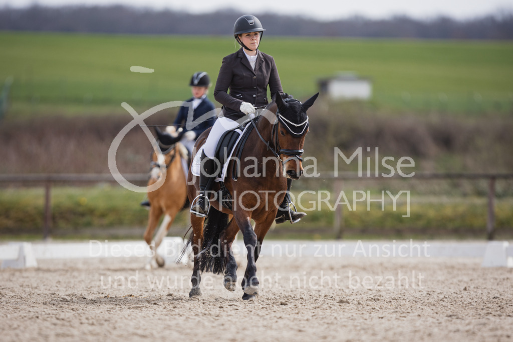 230410_Frühlingsfest_A-Dressur-540 | Deine schönsten Turniermomente als professionelle Fotos! Entdecke hochwertige Pferdesport-Fotografie im Online-Shop. Jetzt Fotos finden & bestellen!