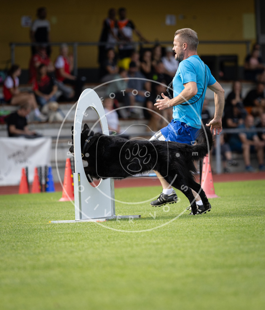 Pfotenfotografie_DV3A1416 | Hundefotografie, Tierfotograf, Pfotenfotografie, Fotoshooting Hund, Hunde Portrait, Hundesport, Hundeportraits, Heideshooting, Hunde, Sportfotograf, Hundefotograf, Turnierhundsport, THS,  - Realisiert mit Pictrs.com