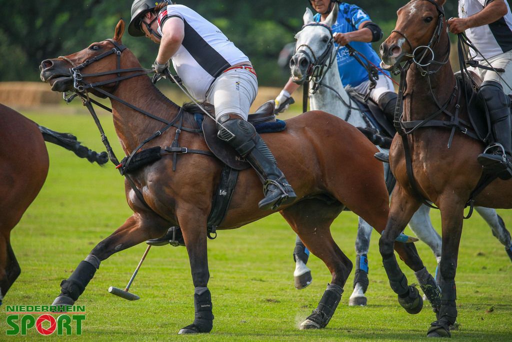 Polo_Willich_070623_197 | Bildergalerie von Sport-Ereignissen aber auch von weiteren spannenden Dingen - nicht nur vom Niederrhein. In Anlehnung an den bekannten Spruch von Hanns Dieter Hüsch heißt das Motto: "Niederrhein ist überall".  - Realisiert mit Pictrs.com