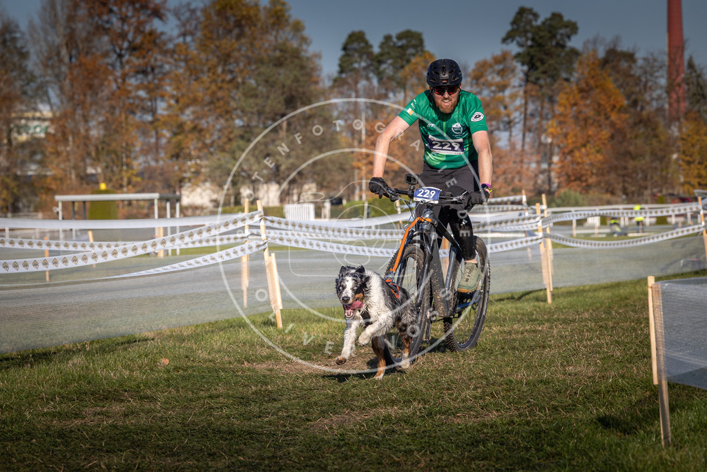 CaniXpix_0L8A4711 | Hundefotografie, Tierfotograf, Pfotenfotografie, Fotoshooting Hund, Hunde Portrait, Hundesport, Hundeportraits, Heideshooting, Hunde, Sportfotograf, Hundefotograf, Turnierhundsport, THS,  - Realisiert mit Pictrs.com