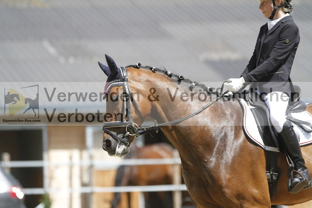 _MG_0849 | equestrian-live-com