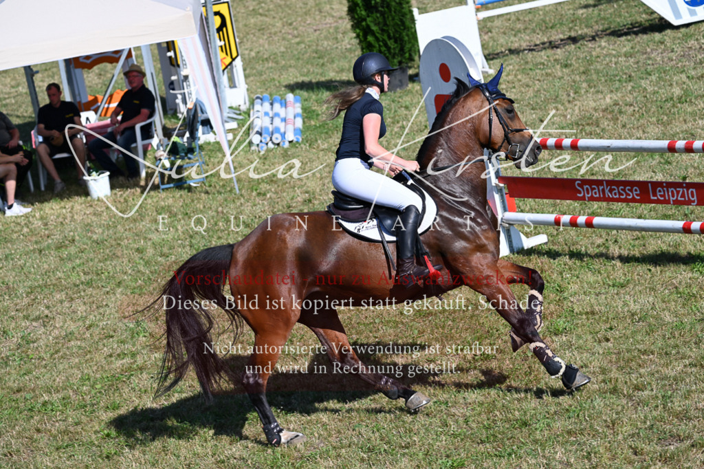 DSC_2089 | Pferde- und Turnierfotografie in Westsachsen. Pferdeportraits, Auftragszeichnungen und intuitive Kunst.