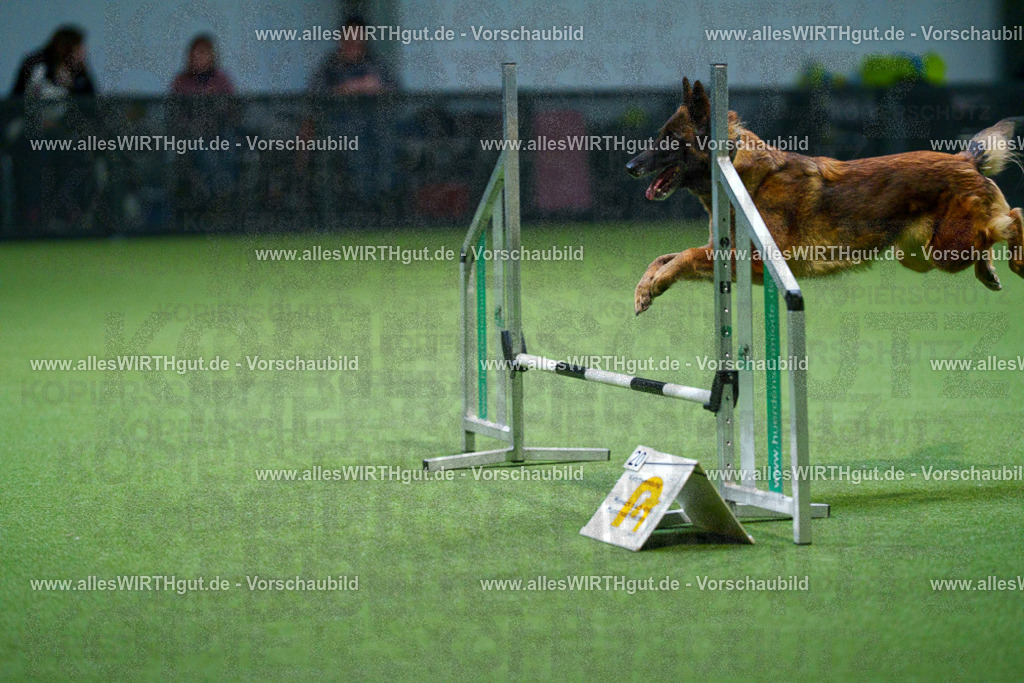 7R500941 | Professionelle Tierfotografie in Mönchengladbach von Daniel Wirth (allesWIRTHgut). Liebevolle & natürliche Bilder von Hunden & Katzen für unvergessliche Erinnerungen.