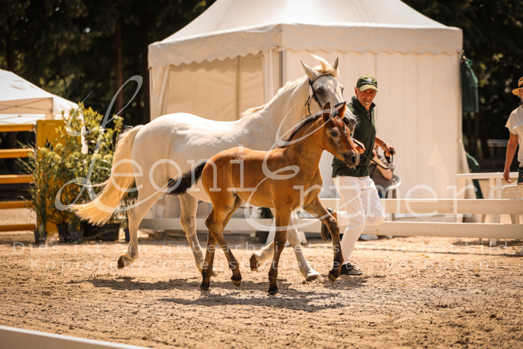 02.DoSR00163 | Leoni Ertmer Photography - Realisiert mit Pictrs.com