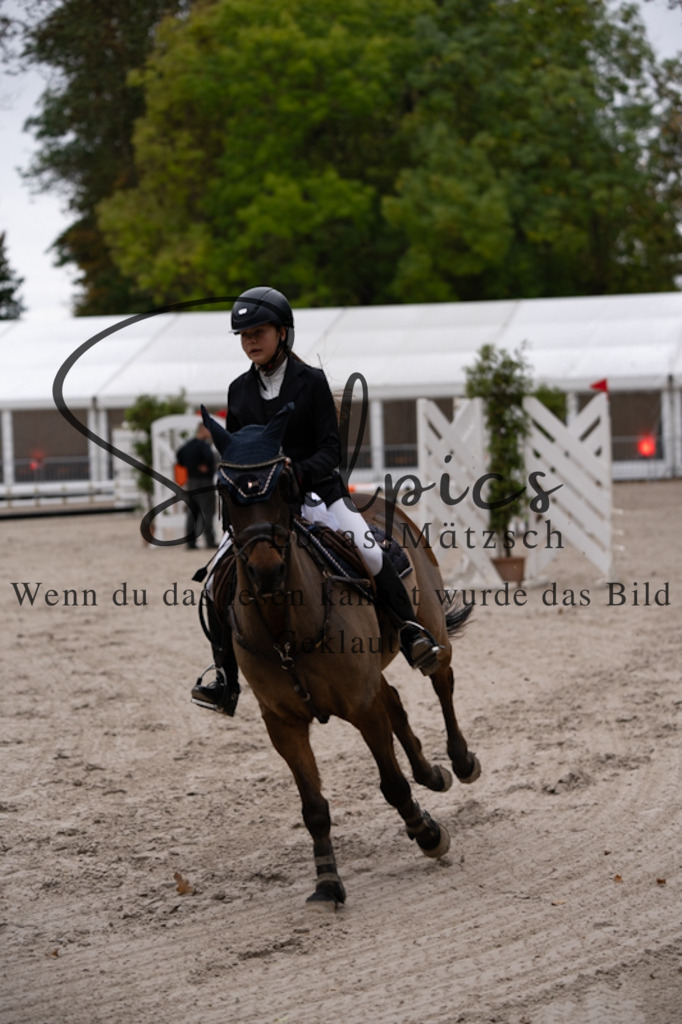 A7V09785 | Pferdefotograf