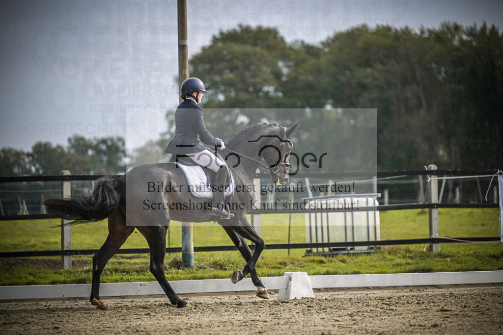 DOS_B237 | Entdecke hochwertige Reitturnierfotos von Foto Oger. Professionell, emotional und authentisch – jetzt Lieblingsmomente im Shop bestellen.Deutschlandweite Turnierfotografie. - Realisiert mit Pictrs.com