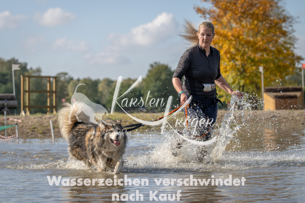 1303_ZZ94552 | kk-dogfotos