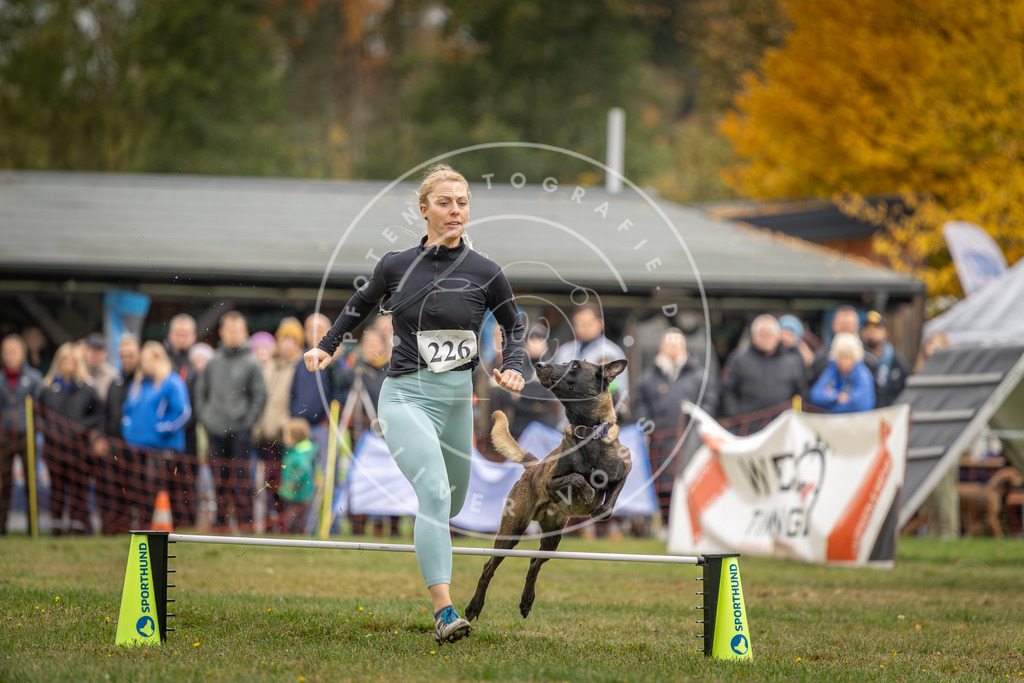 Pfotenfotografie_DV3A3186 | Hundefotografie, Tierfotograf, Pfotenfotografie, Fotoshooting Hund, Hunde Portrait, Hundesport, Hundeportraits, Heideshooting, Hunde, Sportfotograf, Hundefotograf, Turnierhundsport, THS,  - Realisiert mit Pictrs.com