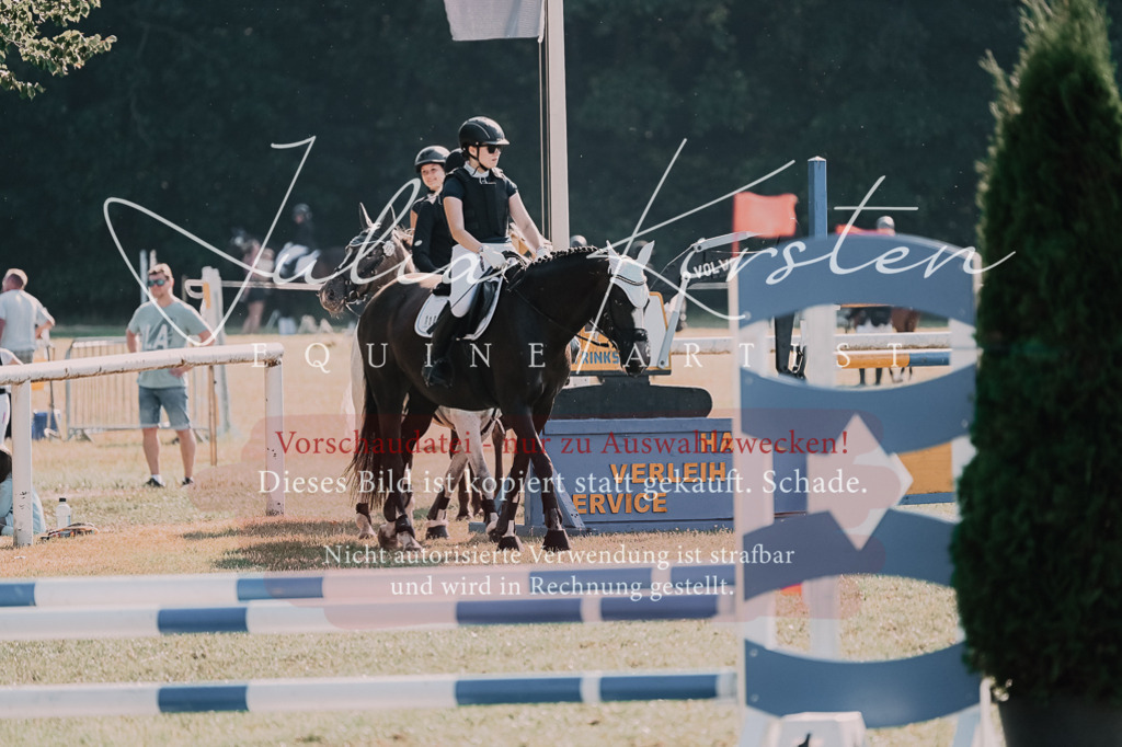 DSC_4886 | Pferde- und Turnierfotografie in Westsachsen. Pferdeportraits, Auftragszeichnungen und intuitive Kunst.