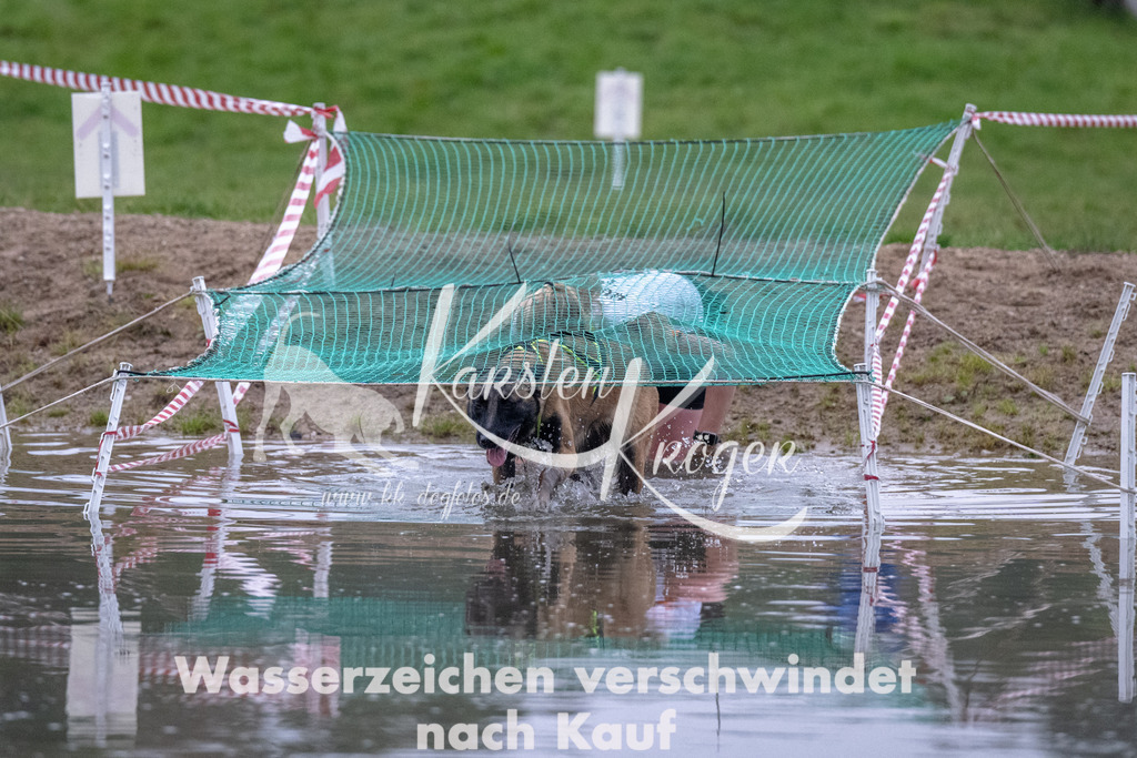 0810_ZZ90104 | kk-dogfotos