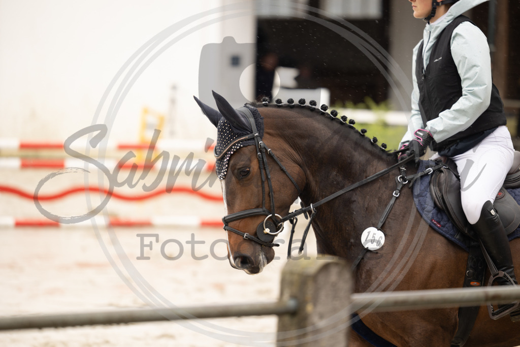 994A0369 | sabrinanicolaifotografie - Realisiert mit Pictrs.com