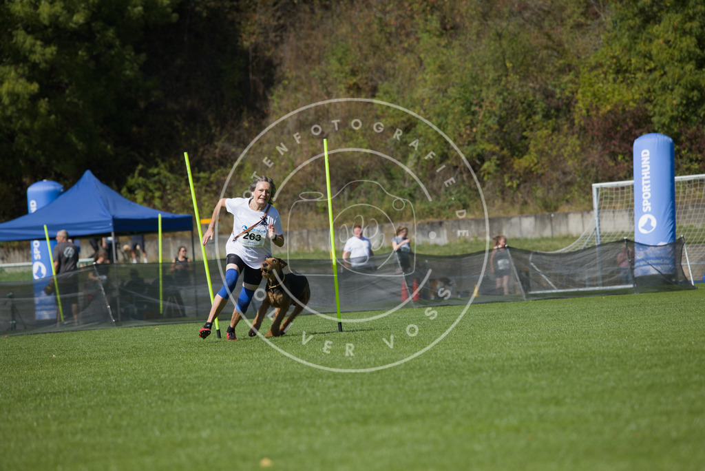 0L8A6485 | Hundefotografie, Tierfotograf, Pfotenfotografie, Fotoshooting Hund, Hunde Portrait, Hundesport, Hundeportraits, Heideshooting, Hunde, Sportfotograf, Hundefotograf, Turnierhundsport, THS,  - Realisiert mit Pictrs.com