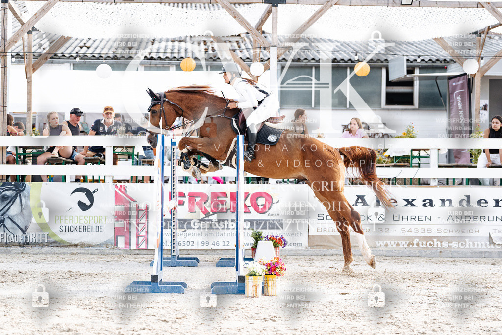 CK906953 | Turnierfotografie Pferdefotografie Trier Rheinland-Pfalz Pferdesport Reitsport Tierfotografie Sportfotografie Pferdevideo Pferdevideografie Equestrianvideography equestrianphotography  - Realisiert mit Pictrs.com