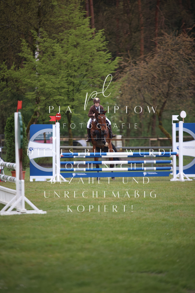 IMGT2557 | pl-fotografie