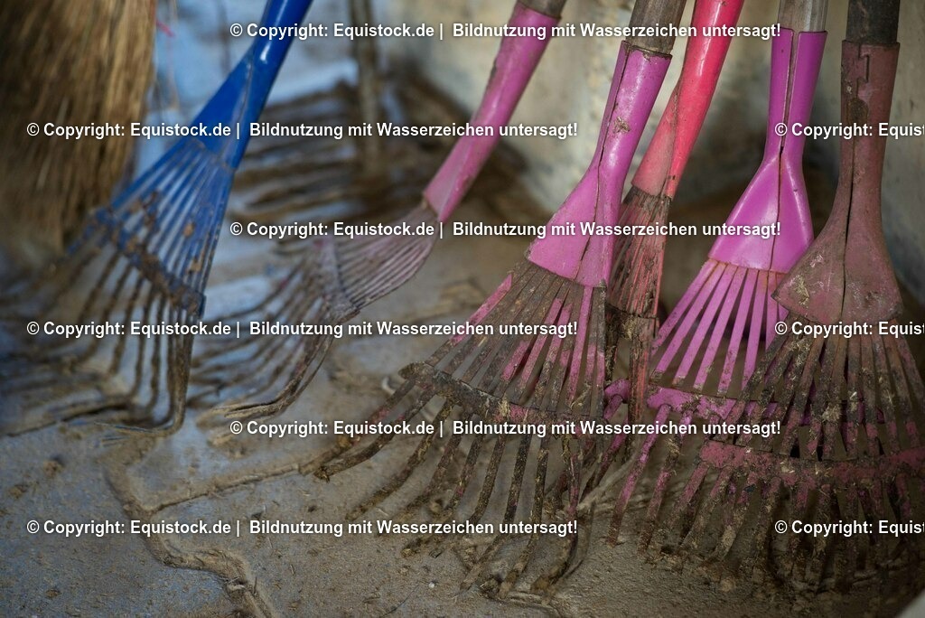 20161213_Rechen_0002 | Foto: Thomas Hartig