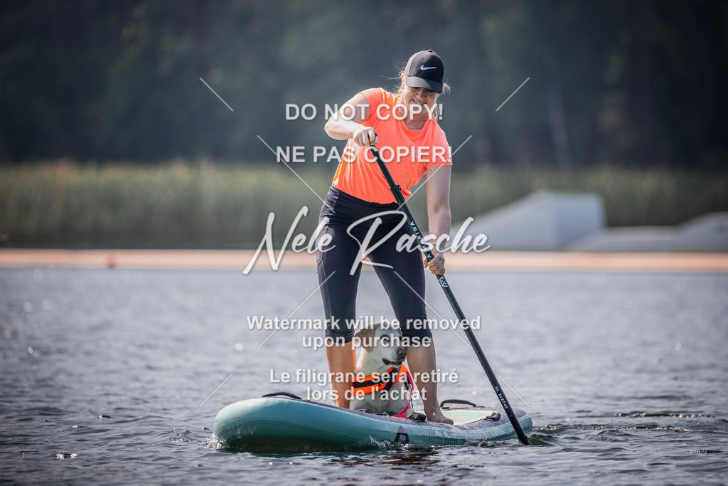 BUHU_SUP_407 | nelerasche
