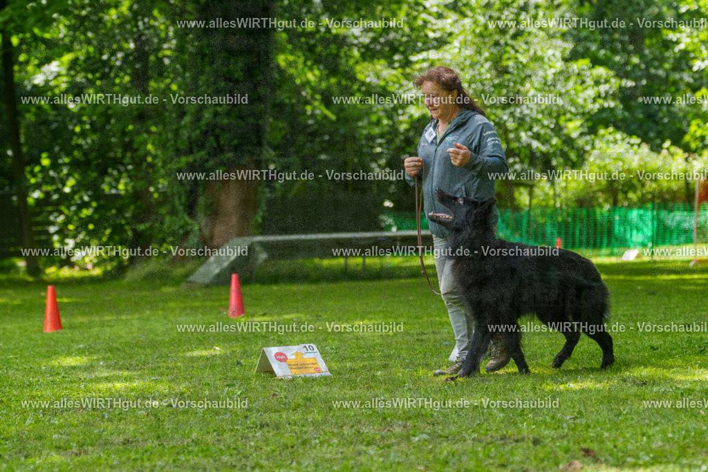@allesWIRTHgut_Tierfotografie - www.allesWIRTHgut.de - 7R505656 | Professionelle Tierfotografie in Mönchengladbach von Daniel Wirth (allesWIRTHgut). Liebevolle & natürliche Bilder von Hunden & Katzen für unvergessliche Erinnerungen.