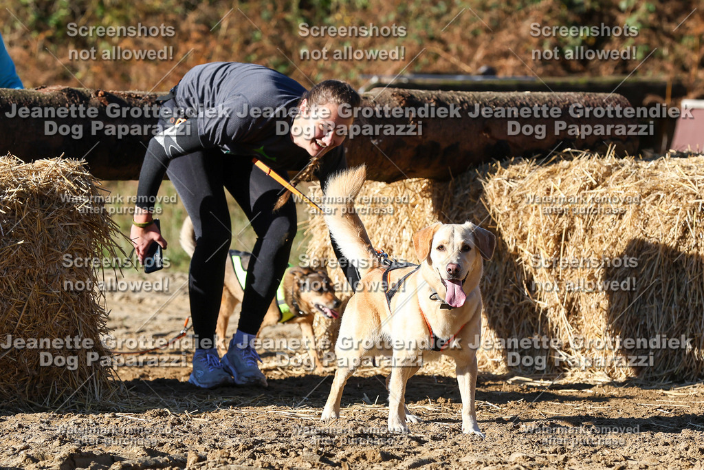Dog Paparazzi - Strongdog 10-25-1993 | Dog Paparazzi Jeanette Grottendiek Fotografie & Videografie - Realisiert mit Pictrs.com