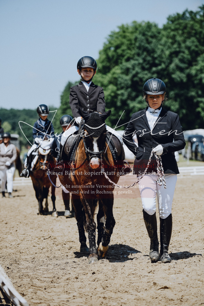 DSC_2203 | Pferde- und Turnierfotografie in Westsachsen. Pferdeportraits, Auftragszeichnungen und intuitive Kunst.