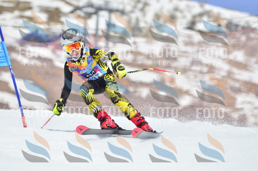 _ELE2493 | holidayphoto