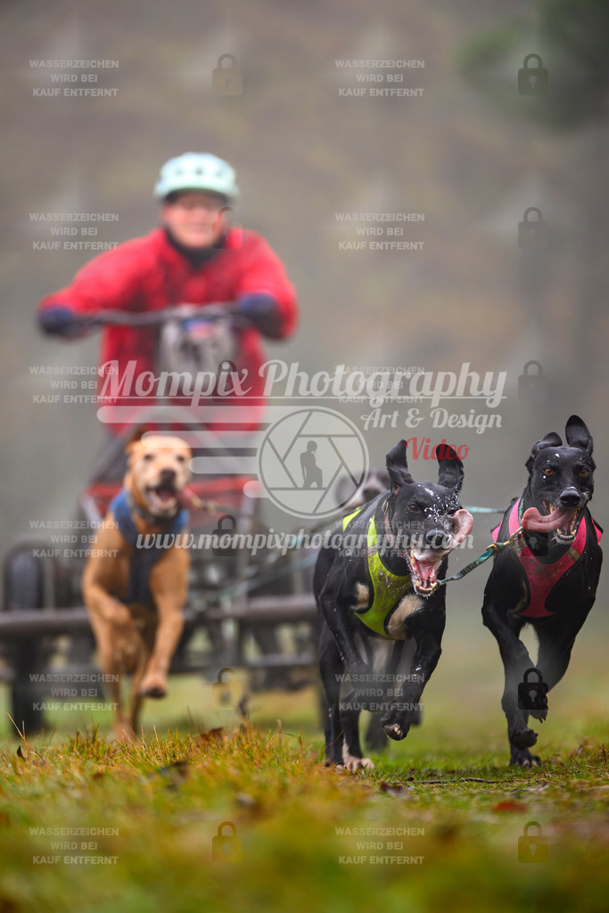 MompixPhotography_Bischwiller2025_Kart-17 | mompixphotography