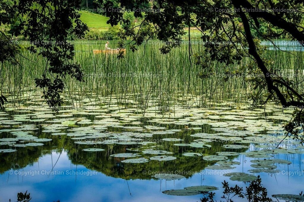 Idyll am Türlersee | Entdecke hochwertige Fine Art Prints und Fotografien vom professionellen Fotografen aus Luzern. Jedes Motiv wird mit Liebe zum Detail aufgenommen, sorgfältig bearbeitet und in bester Qualität gedruckt – perfekt für Wohnräume, Büros oder als besonderes Ges - Realisiert mit Pictrs.com