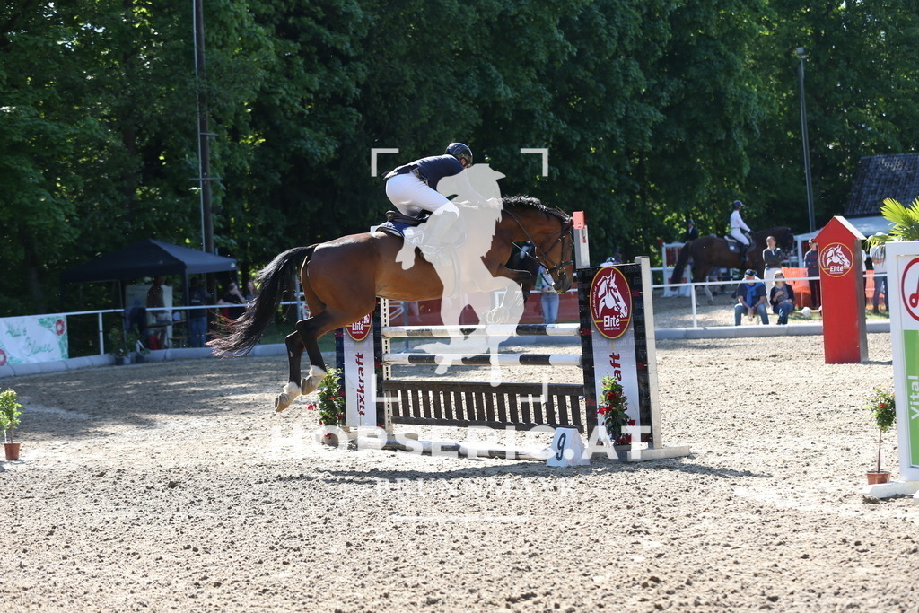 DL2Q2556 | Willkommen bei Brunnmayr - Design & Fotografie – Ihrem Spezialisten für Reitturniere und Pferdeveranstaltungen in Oberösterreich, Salzburg und Bayern! Seit über 17 Jahren sind wir leidenschaftlich dabei.