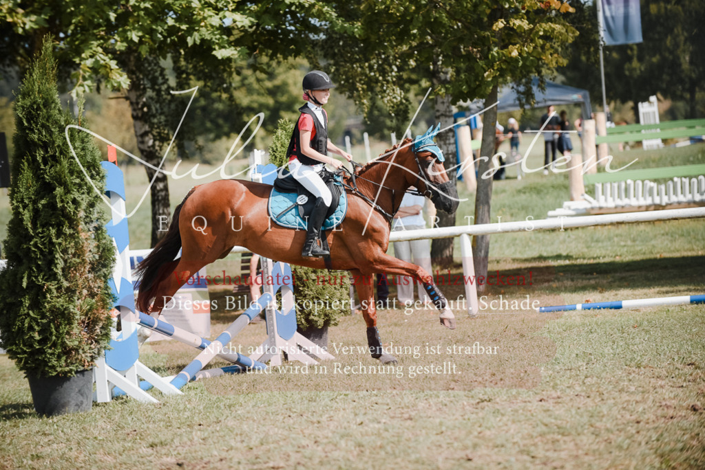 DSC_5302 | Pferde- und Turnierfotografie in Westsachsen. Pferdeportraits, Auftragszeichnungen und intuitive Kunst.