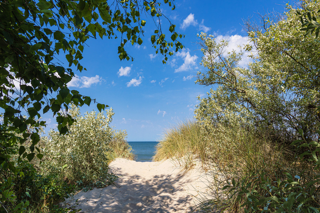 Strandzugang an der Ostseeküste bei Rosenort in der Rostocker Heide | Strandzugang an der Ostseeküste bei Rosenort in der Rostocker Heide.