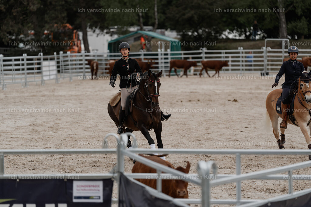 WE__Stoib_Rinder_PI2025_3013 | Pferd International München 2025