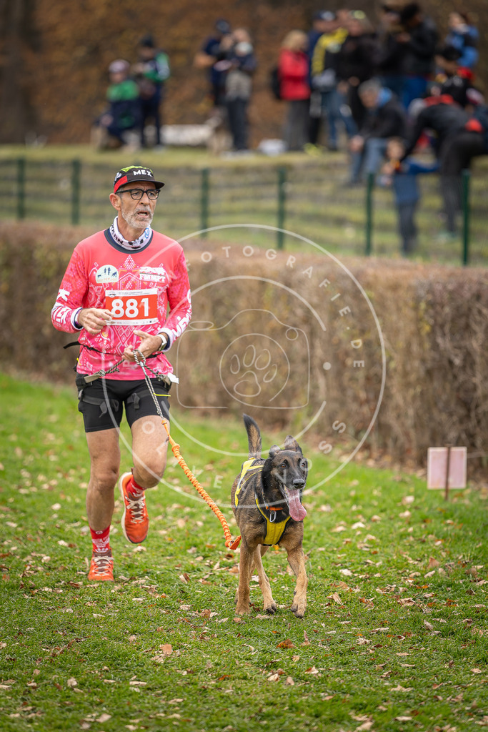 CaniXpix_DV3A6755 | Hundefotografie, Tierfotograf, Pfotenfotografie, Fotoshooting Hund, Hunde Portrait, Hundesport, Hundeportraits, Heideshooting, Hunde, Sportfotograf, Hundefotograf, Turnierhundsport, THS,  - Realisiert mit Pictrs.com