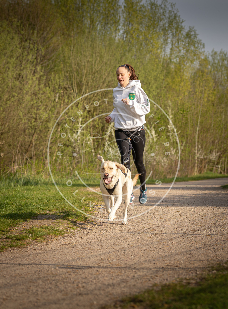 Pfotenfotografie_DV3A4551 | Hundefotografie, Tierfotograf, Pfotenfotografie, Fotoshooting Hund, Hunde Portrait, Hundesport, Hundeportraits, Heideshooting, Hunde, Sportfotograf, Hundefotograf, Turnierhundsport, THS,  - Realisiert mit Pictrs.com