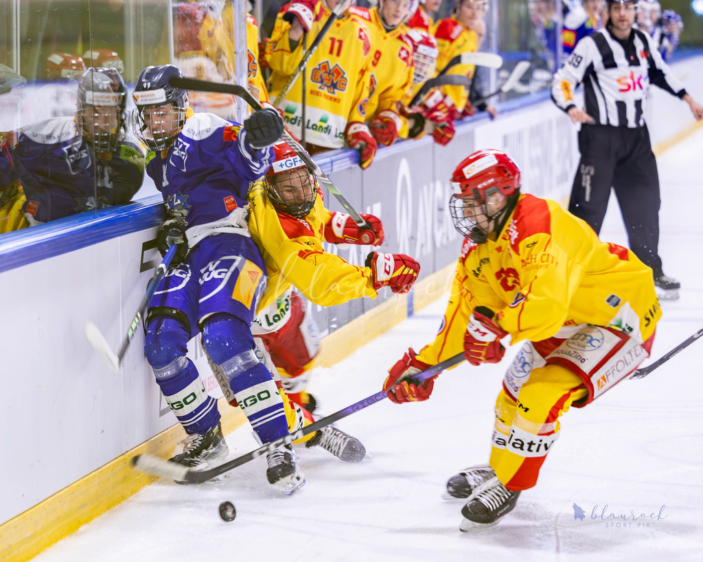U20 EHCB vs EVZ -13 | Sportbilder, Sportfotograf, Hochzeits- und Eventfotografin, Flugshows, Portraits und Tiershooting, Aviation, Downhill, Nationalleague, Swissleague, International