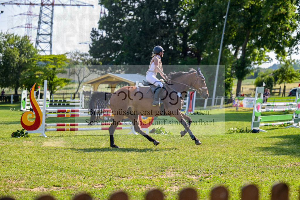 Reitturnier Voxtrup | Entdecke hochwertige Reitturnierfotos von Foto Oger. Professionell, emotional und authentisch – jetzt Lieblingsmomente im Shop bestellen. - Realisiert mit Pictrs.com