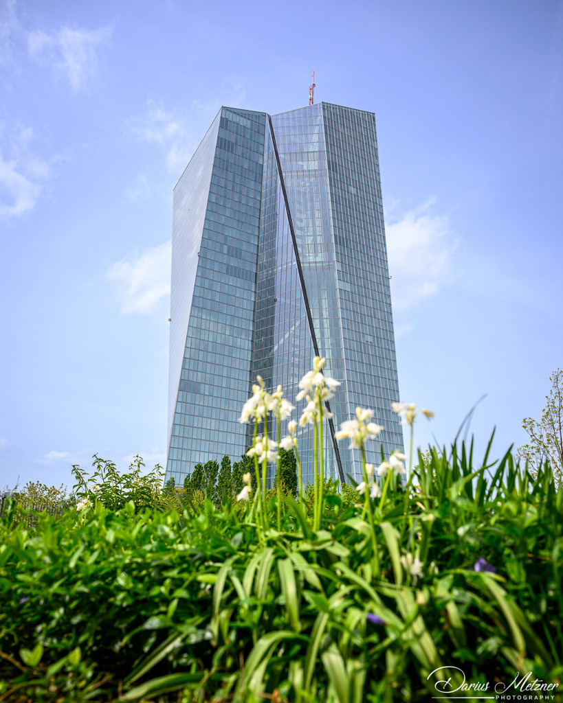 Frankfurt am Main | Frankfurt am Main