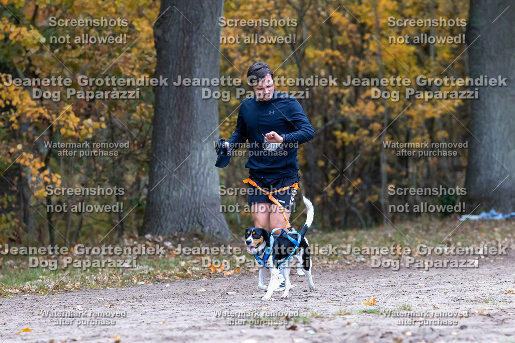 Dog Paparazzi - SD CaniX Championship 2025-486 | Dog Paparazzi Jeanette Grottendiek Fotografie & Videografie - Realisiert mit Pictrs.com