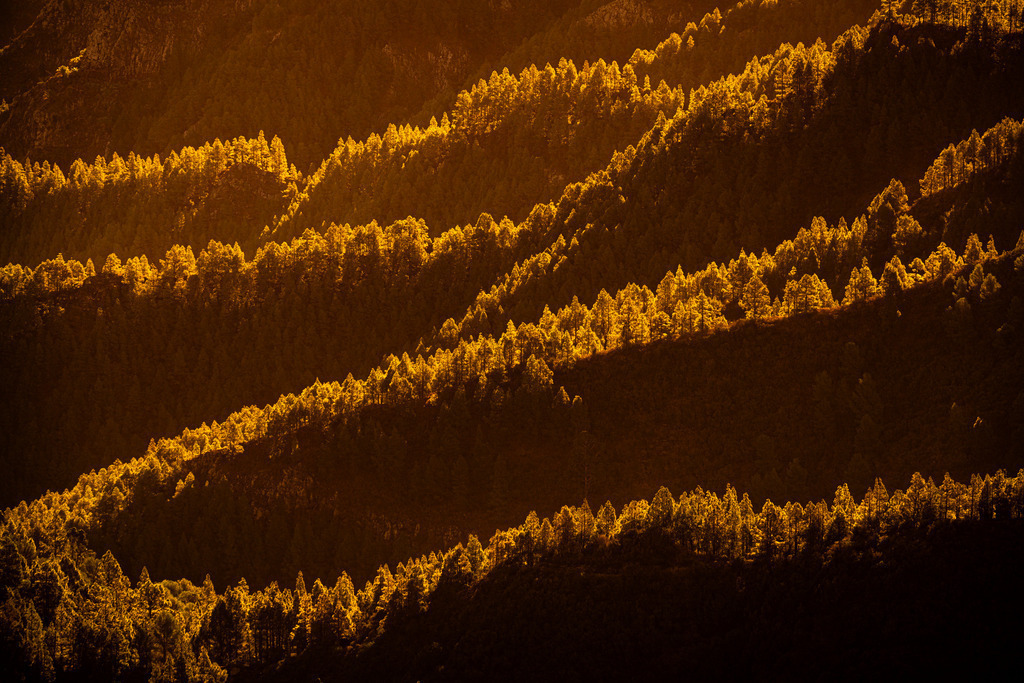 Orange | Wandbilder - Florian Läufer - Realisiert mit Pictrs.com