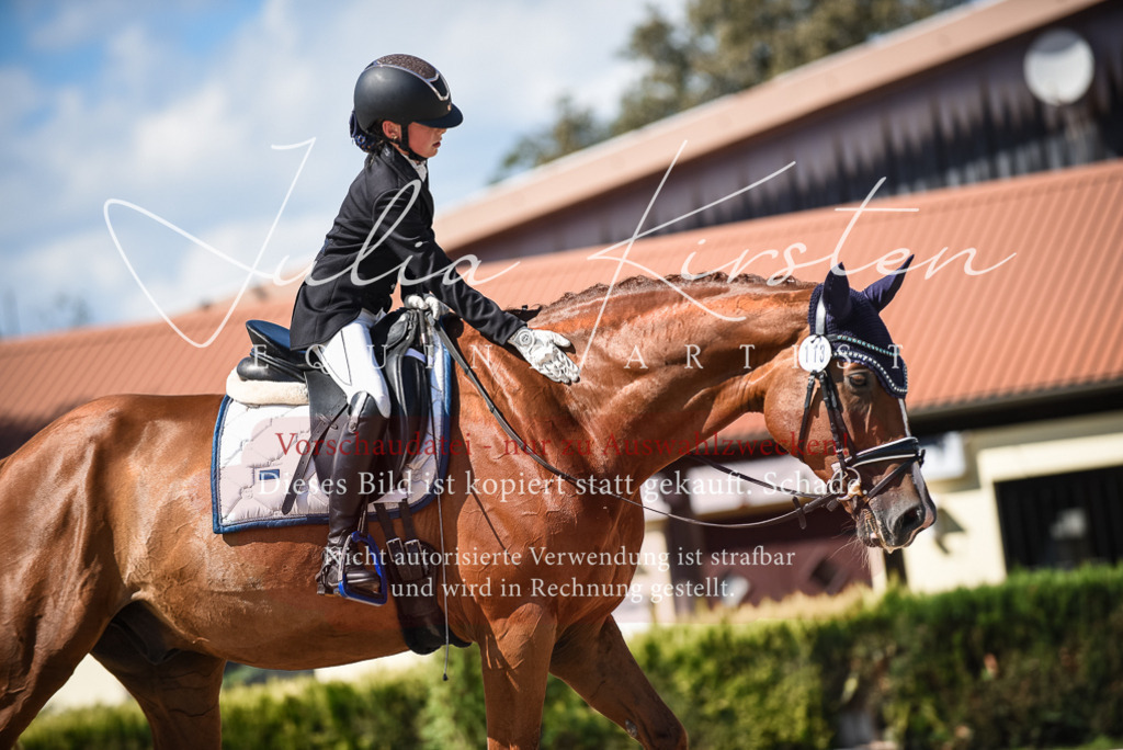 DSC_9540 | Pferde- und Turnierfotografie in Westsachsen. Pferdeportraits, Auftragszeichnungen und intuitive Kunst.