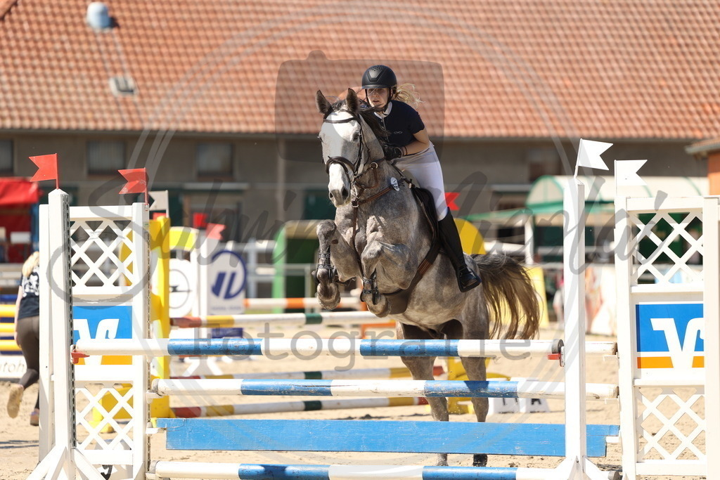 994A5787 | sabrinanicolaifotografie - Realisiert mit Pictrs.com