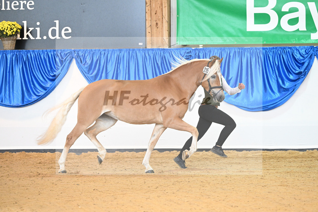 Kat-Nr. 215 Lady_Wagner_54223142 | hf-fotografie - Realisiert mit Pictrs.com