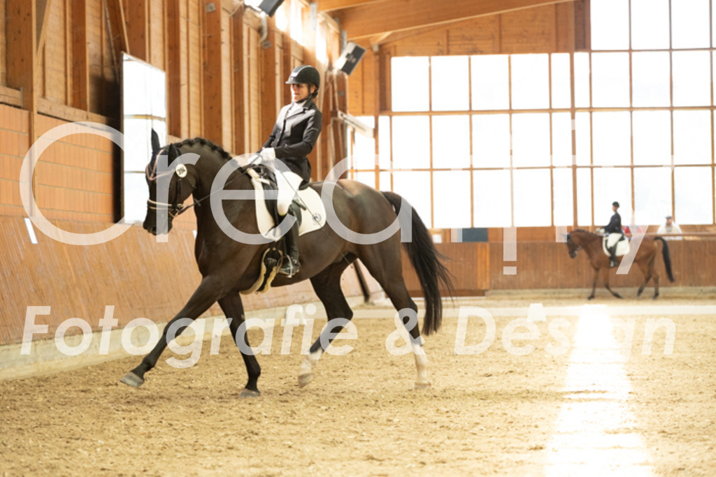 IMG_1668 | Creatify Fotografie