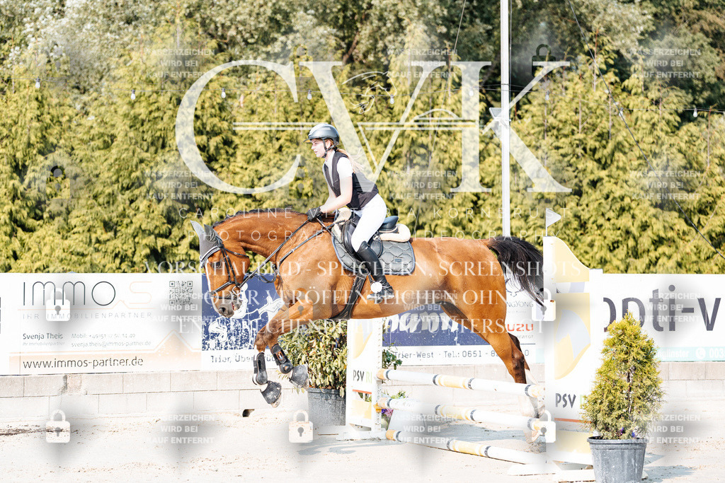 CK902661 | Turnierfotografie Pferdefotografie Trier Rheinland-Pfalz Pferdesport Reitsport Tierfotografie Sportfotografie Pferdevideo Pferdevideografie Equestrianvideography equestrianphotography  - Realisiert mit Pictrs.com